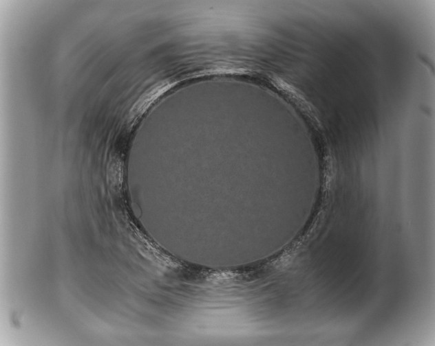 X0000102031169200807251345