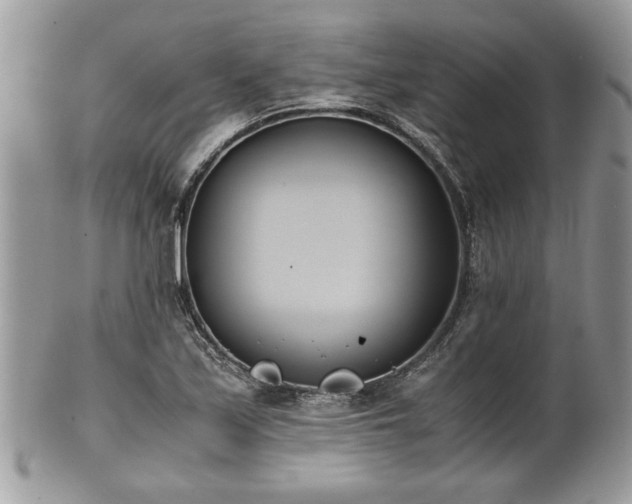 X0000102031171200807251345