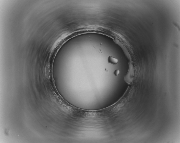 X0000102031172200807251345