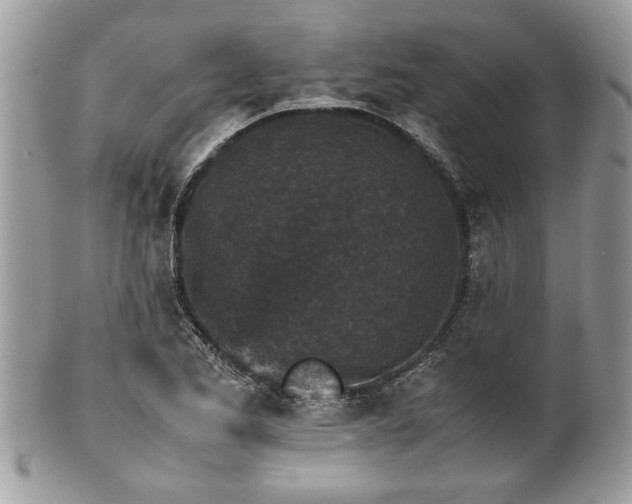 X0000102031173200807251345