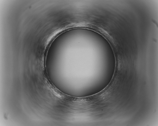 X0000102031174200807251345