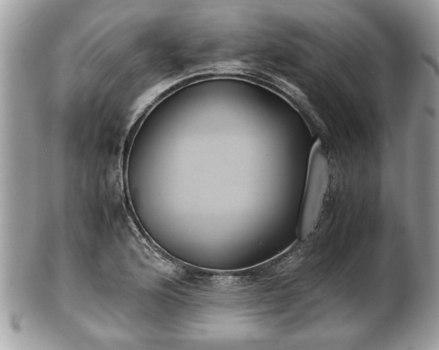 X0000102031176200807251345