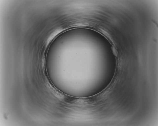 X0000102031179200807251345