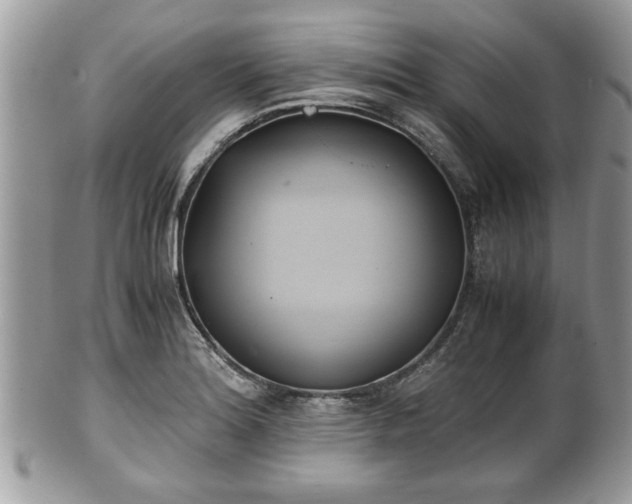 X0000102031180200807251345