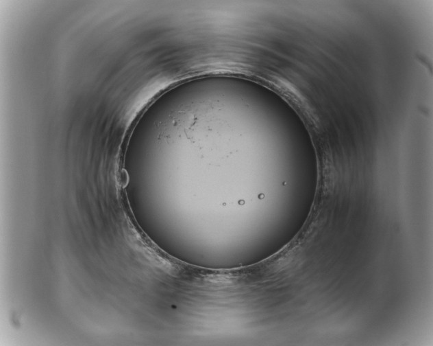 X0000102031182200807251345