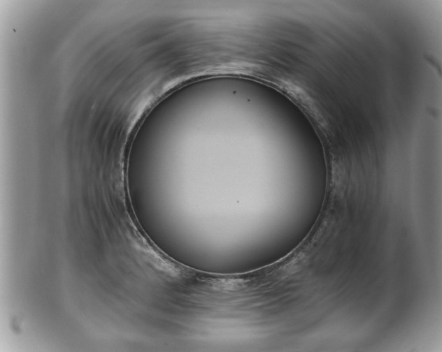 X0000102031184200807251345