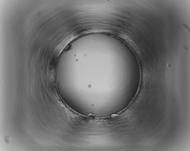 X0000102031185200807251345