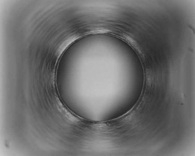 X0000102031186200807251344