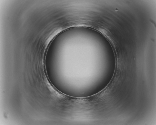 X0000102031189200807251344