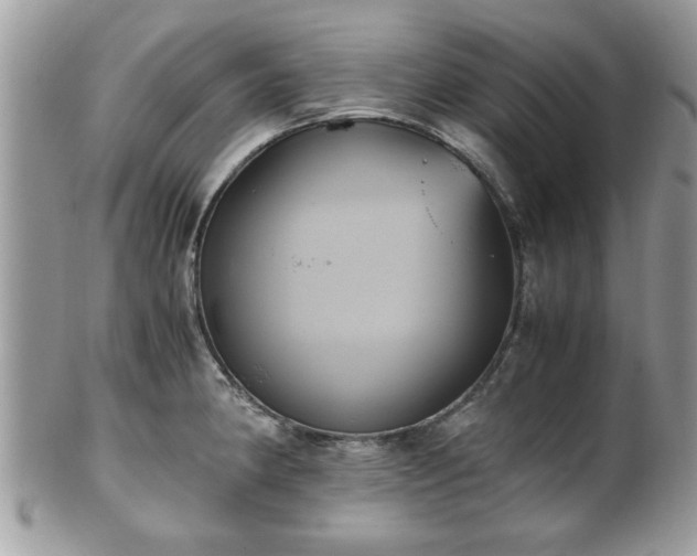 X0000102031190200807251344