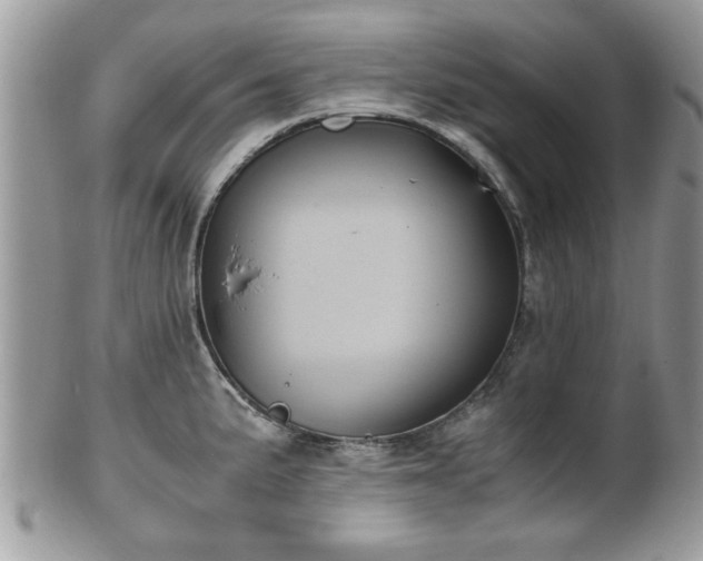 X0000102031191200807251344