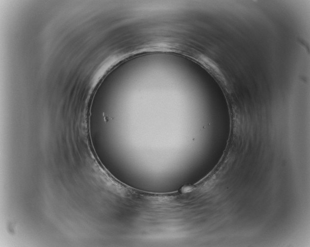 X0000102031192200807251344