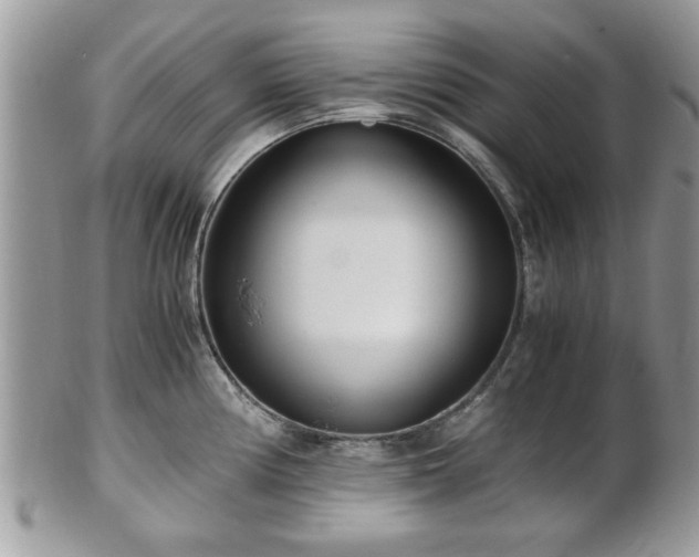 X0000102031194200807251344