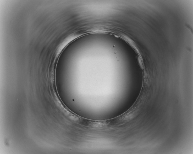 X0000102031195200807251344