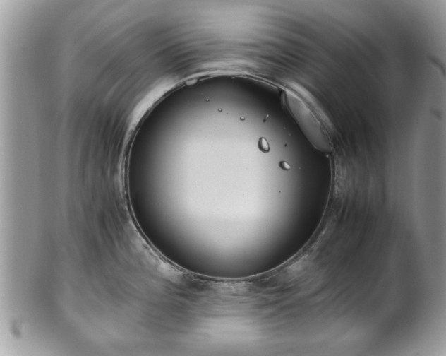 X0000102031196200807251344