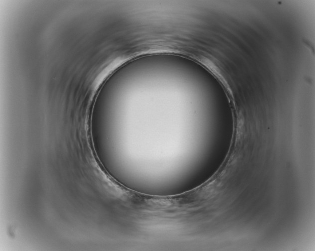 X0000102031197200807251344