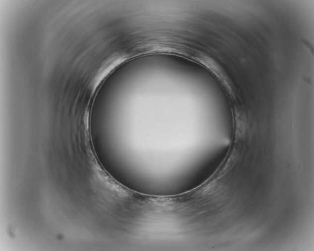 X0000102031198200807251344