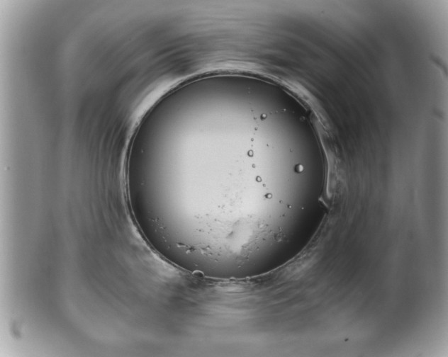 X0000102031199200807251344