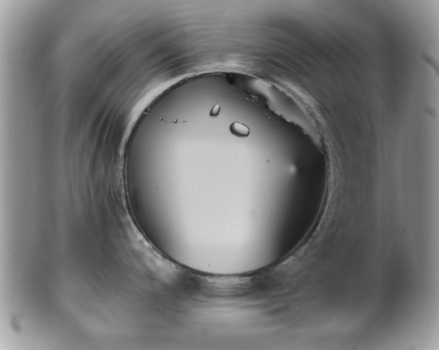 X0000102031200200807251344