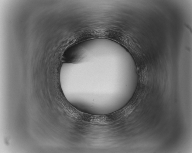 X0000102031201200807251344