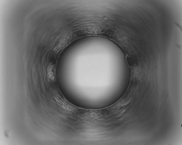 X0000102031202200807251344