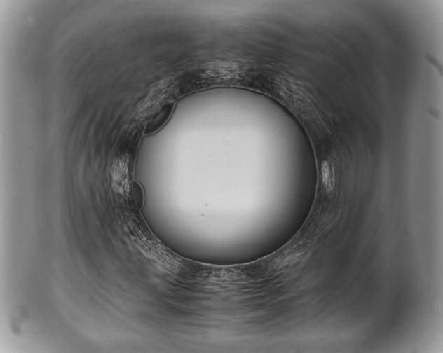 X0000102031203200807251344