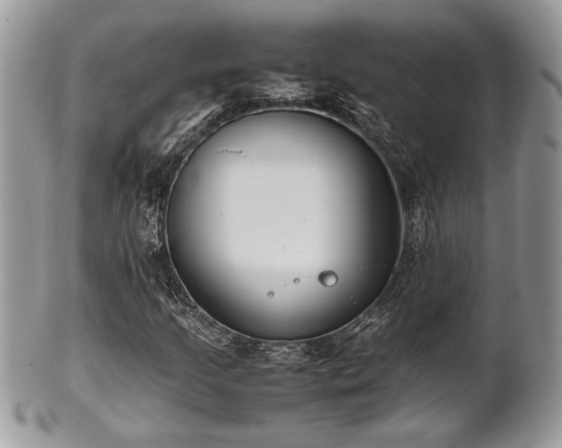 X0000102031205200807251344