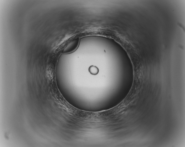 X0000102031206200807251344