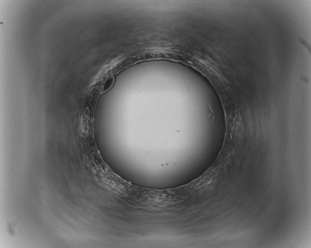 X0000102031207200807251344