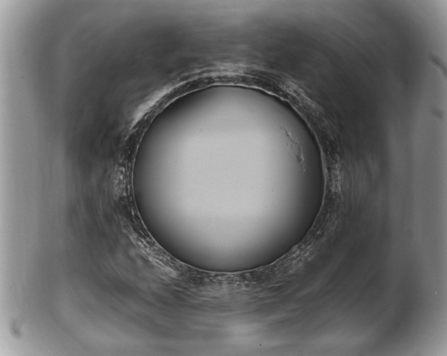 X0000102031208200807251344