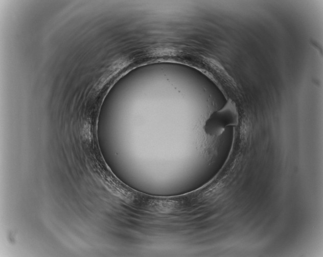 X0000102031209200807251344