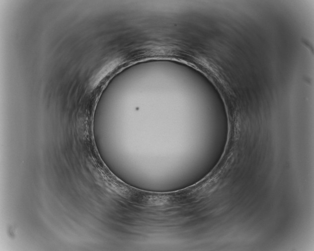 X0000102031211200807251344