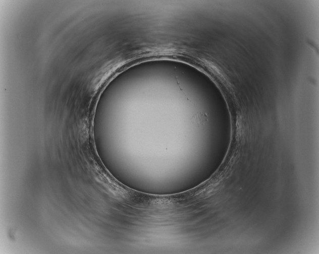 X0000102031212200807251344