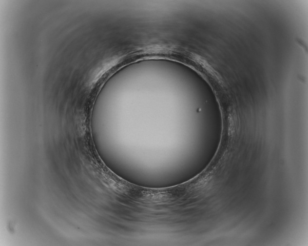 X0000102031213200807251344