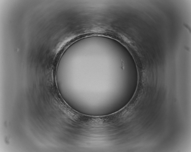 X0000102031214200807251344