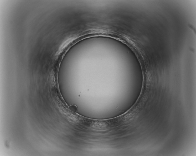 X0000102031215200807251344