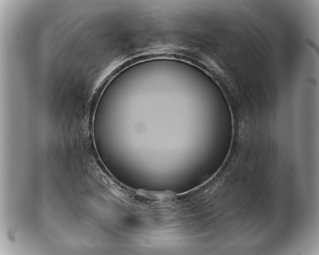 X0000102031216200807251344