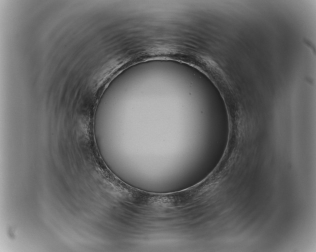 X0000102031217200807251344