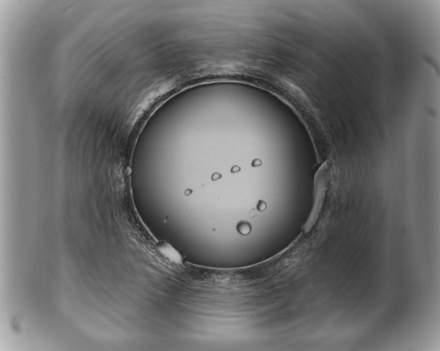 X0000102031218200807251344