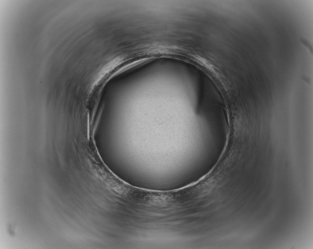 X0000102031219200807251344