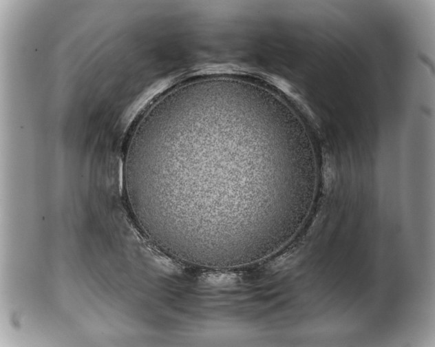 X0000102031221200807251344