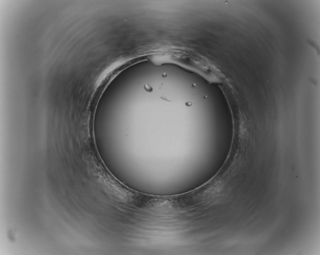 X0000102031222200807251344