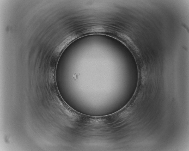 X0000102031225200807251344