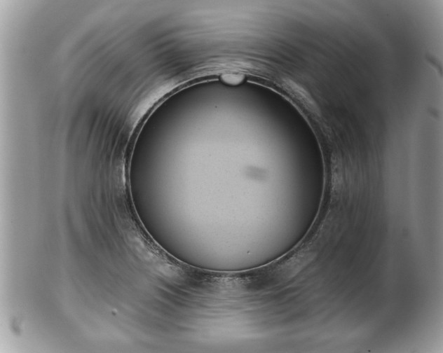 X0000102031226200807251344