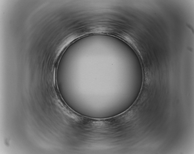 X0000102031227200807251344