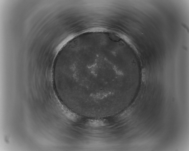 X0000102031229200807251344