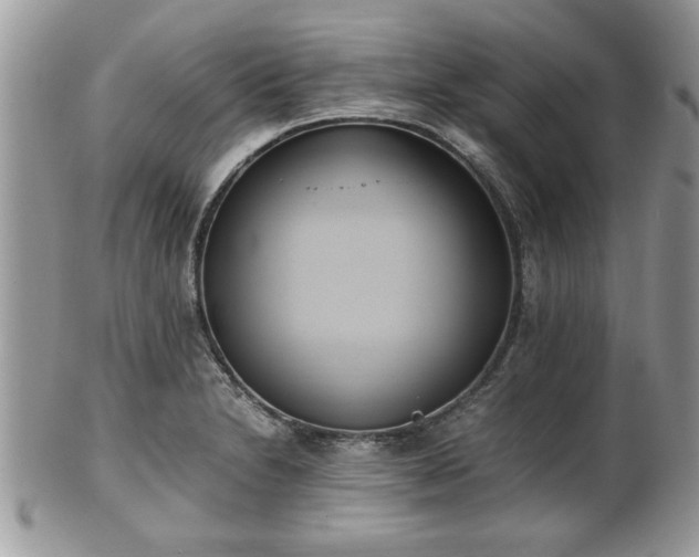 X0000102031230200807251344