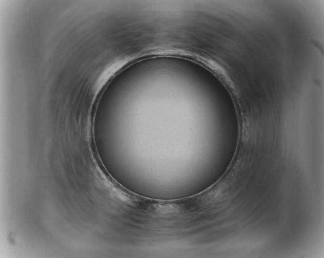 X0000102031231200807251344