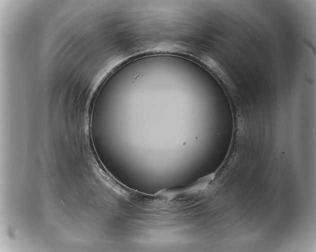 X0000102031232200807251344