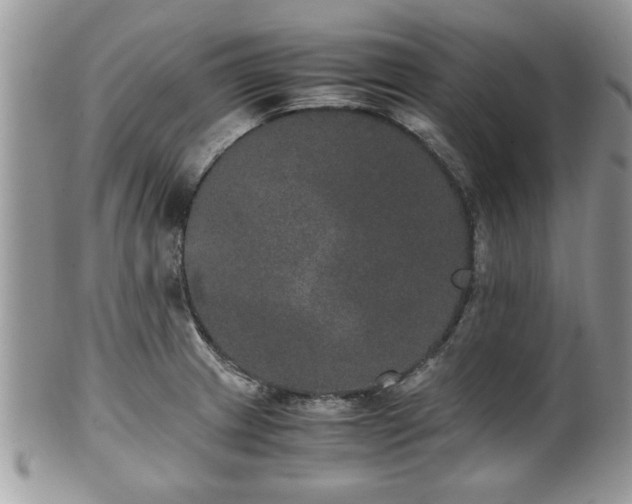 X0000102031233200807251344